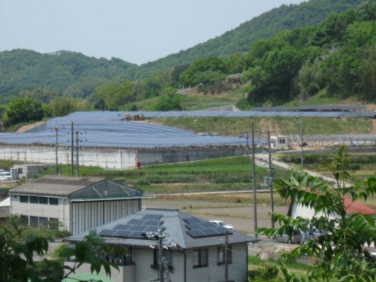 岡山高圧太陽光発電所273kw竣工